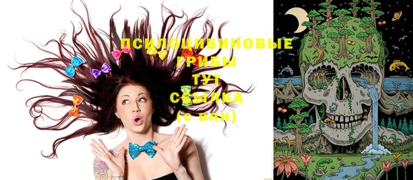 каннабис Гусиноозёрск