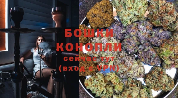 прущие крисы Гусь-Хрустальный