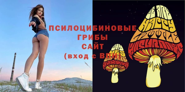 каннабис Гусиноозёрск