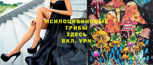 apvp Мурманск