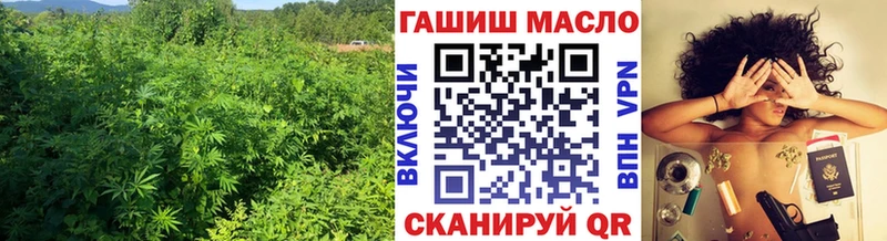 Дистиллят ТГК THC oil  Купить закладки  Кола 